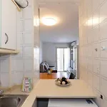 Rentalmar Pino Alto