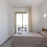 Rentalmar Pino Alto